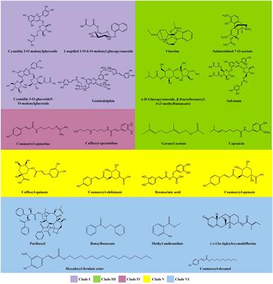 Family characteristics, phylogenetic reconstruction, and potential applications of the plant BAHD acyltransferase family